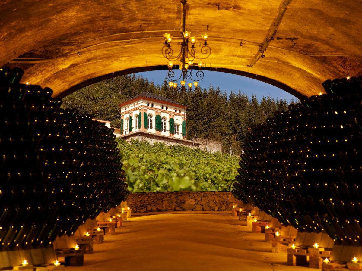 Weinromantikhotel Richtershof Mulheim an der Mosel Exteriér fotografie